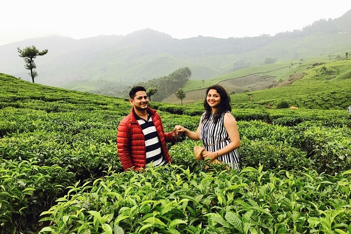 Munnar Honeymoon Tours