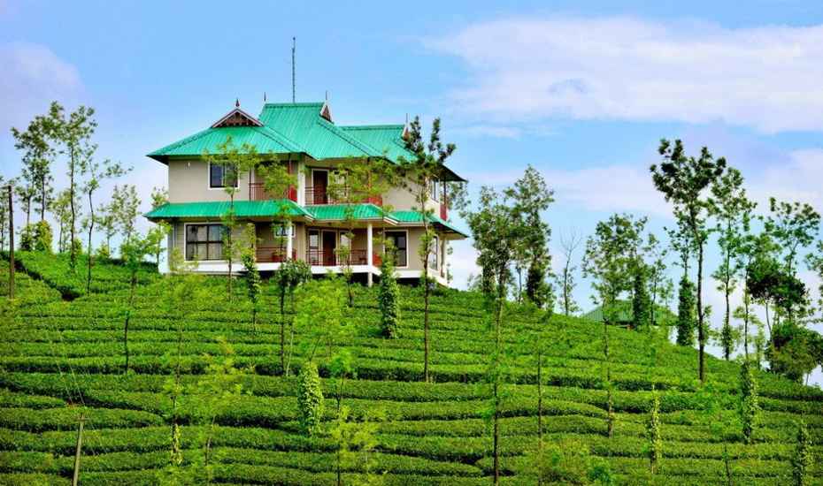 Vagamon Homestays