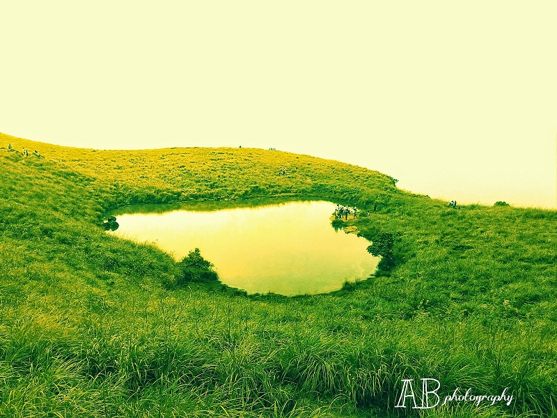 Wayanad Tour Packages